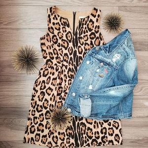 Ann Taylor LOFT Cheetah Print Swing Dress